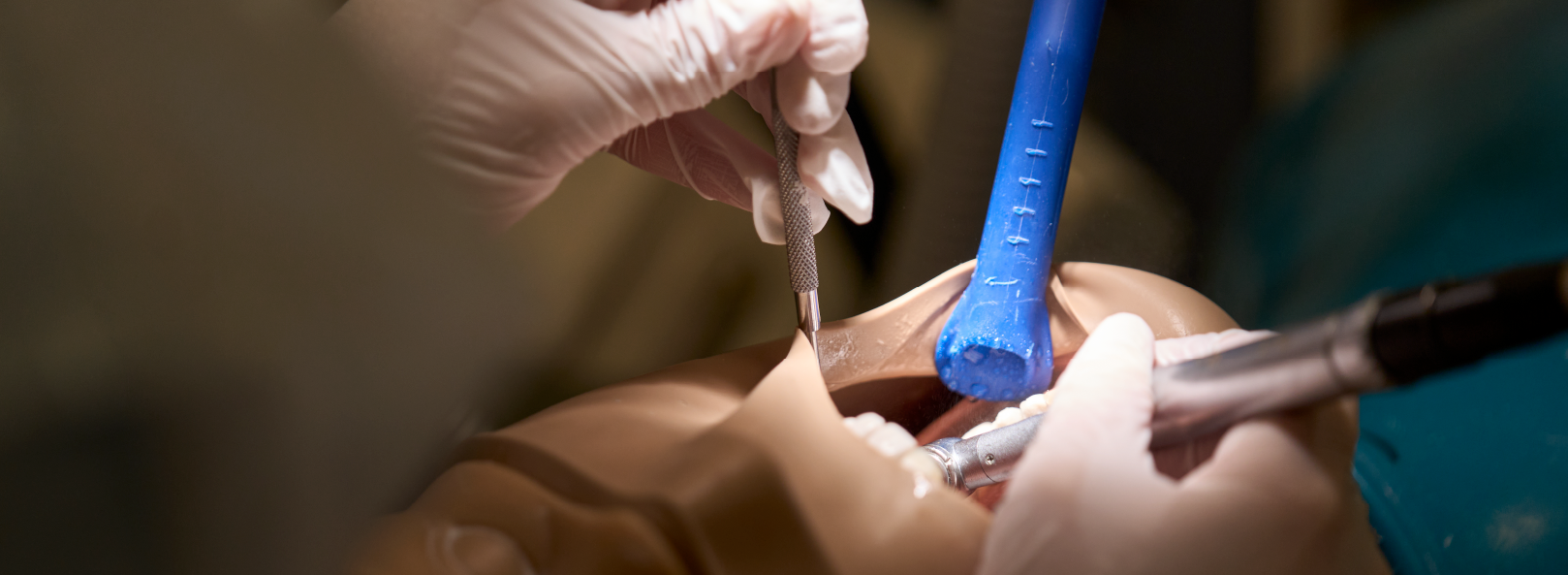 Close up banner of dentistry training equipment